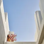 Hotel Ark